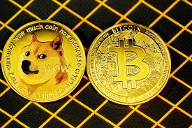 Shiba inu