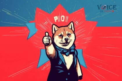 Shiba inu shib