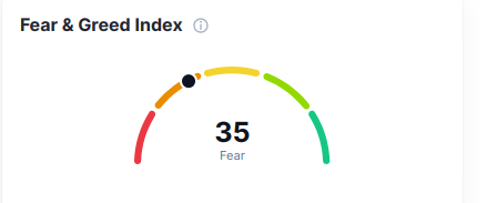 The fear and greed index