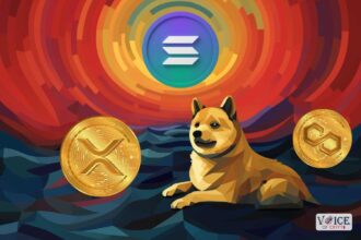 Solana sol voiceofcrypto