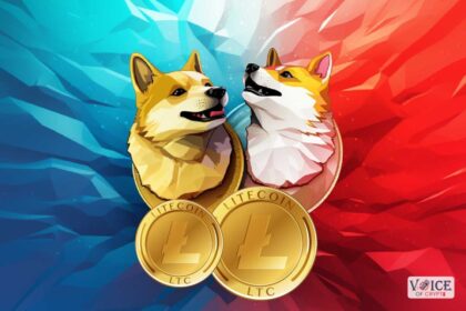 Crypto dogecoin voice of crypto