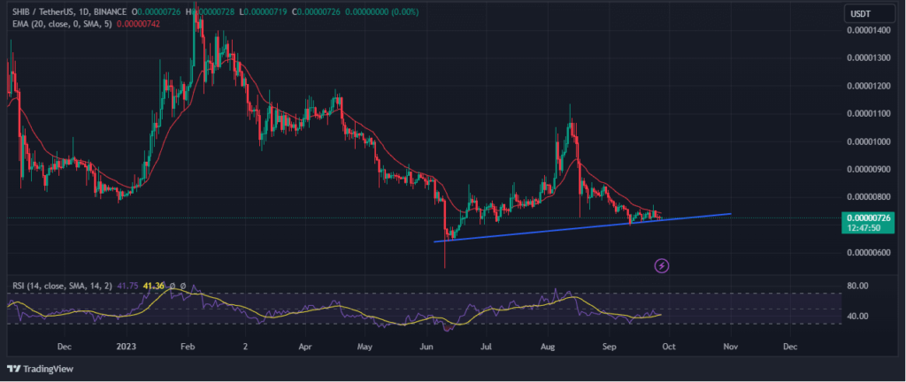 Shiba inuâ€™s price action