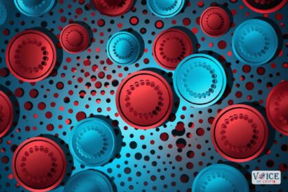 Cardano price analysis
