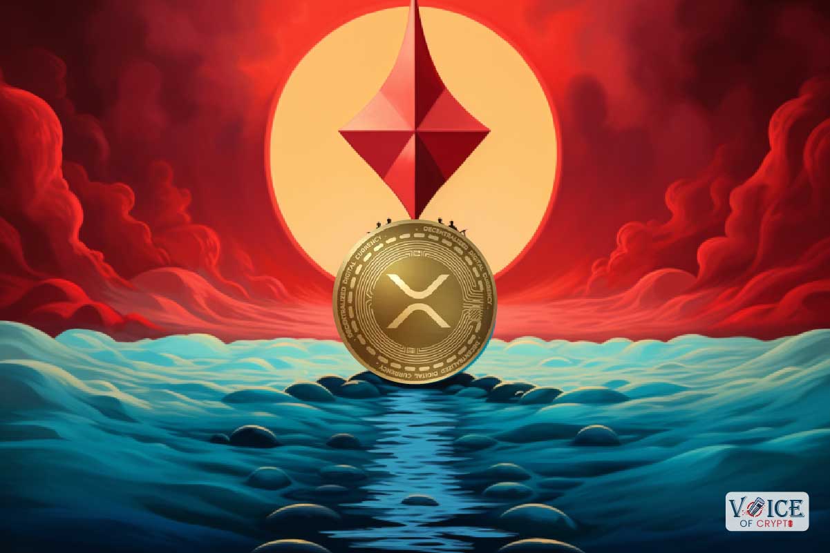 Ripple XRP Voice Of Crypto