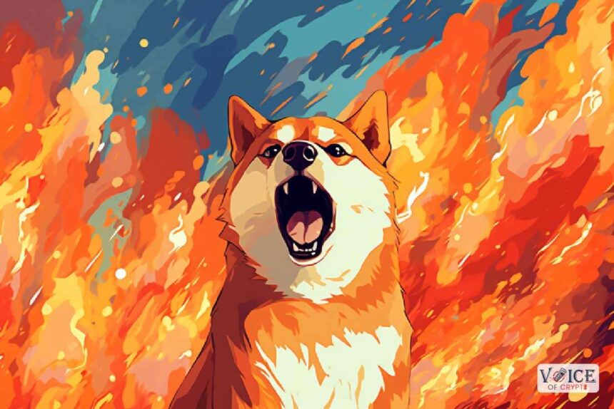 Shiba inu shib voice of crypto
