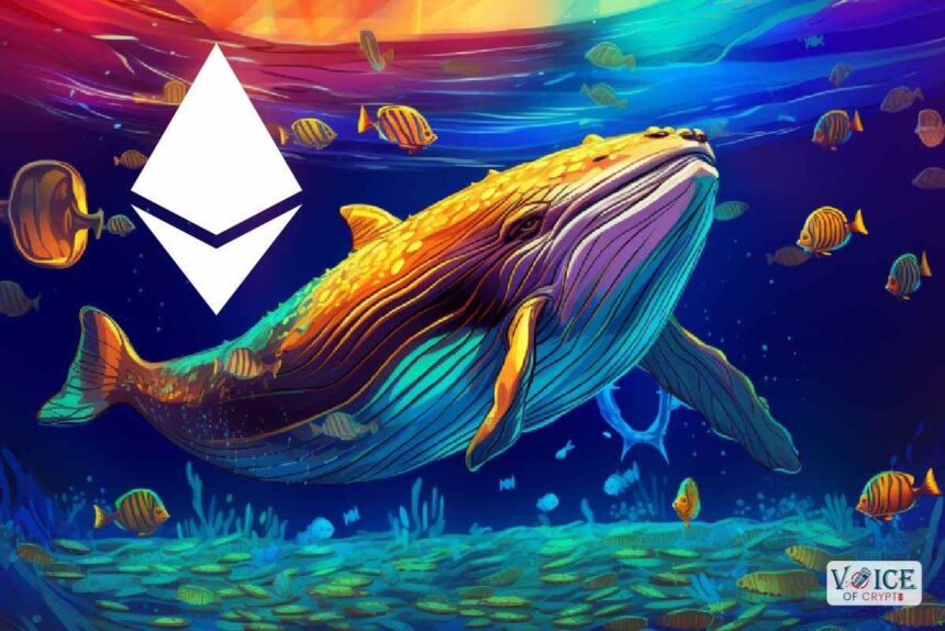 Eth ethereum voiceofcrypto