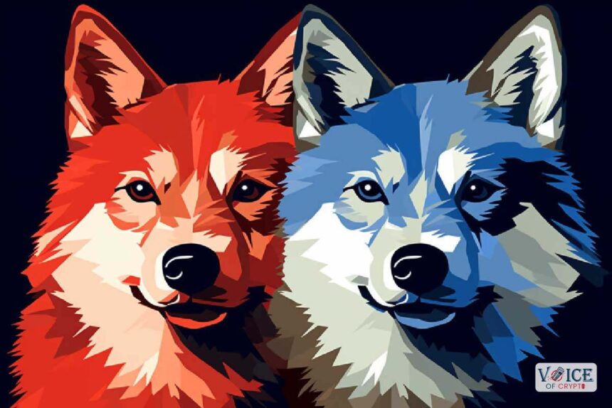 Shiba inu shib voice of crypto