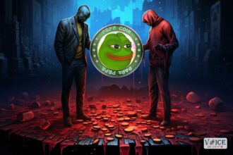 Pepe memecoin voiceofcrypto