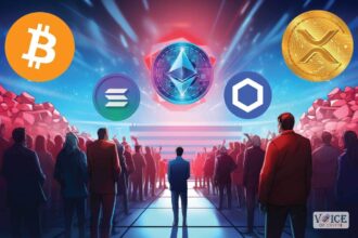 Bitcoin btc price voice of crypto