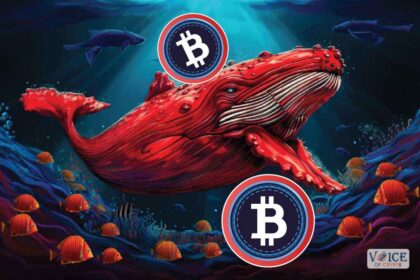 Bitcoin btc price voice of crypto