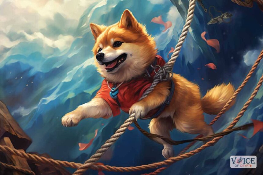 Shiba Inu SHIB Shibarium Voice Of Crypto