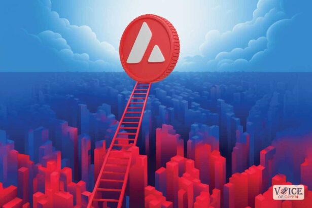 Voiceofcrypto avax avalanche
