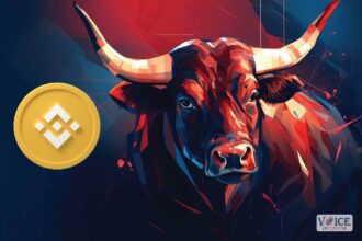 Crypto bullrun binance voice of crypto