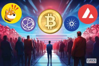Voc, voice of crypto, top gainers and losers