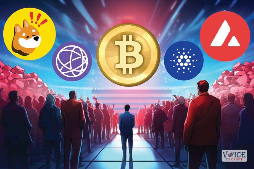 Voc, voice of crypto, top gainers and losers