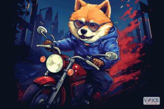 Dogecoin, voc, voice of crypto