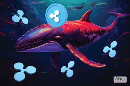 Ripple XRP Voice Of Crypto