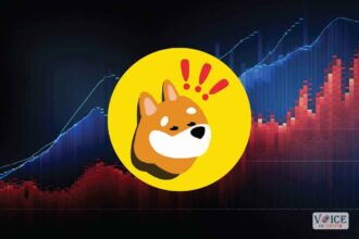 Bonk memecoin voiceofcrypto voc
