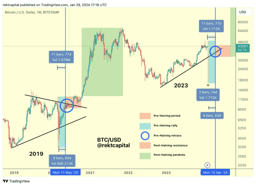 The 5 halving stages