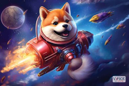 Shiba Inu SHIB, Crypto, VOC