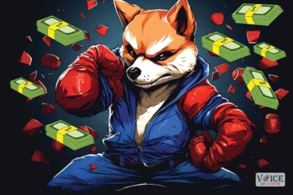 Shiba Inu SHIB, Crypto, VOC