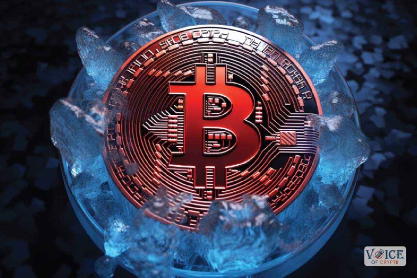 Voc, voice of crypto,btc