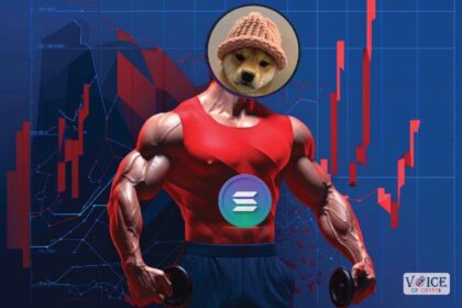 Solana sol voice of crypto