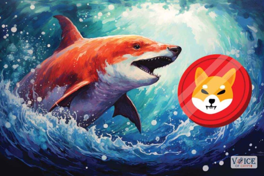 Shiba inu shib, crypto, voc