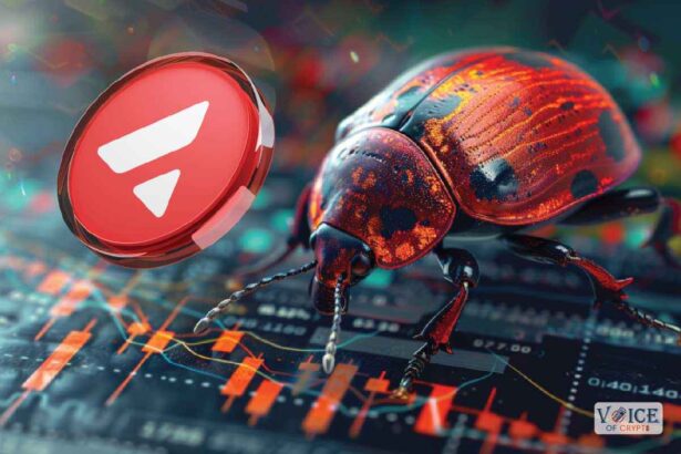Voiceofcrypto avax avalanche