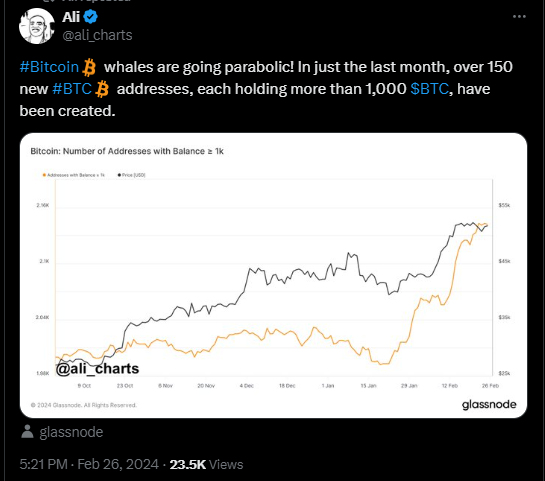 The whales are interested