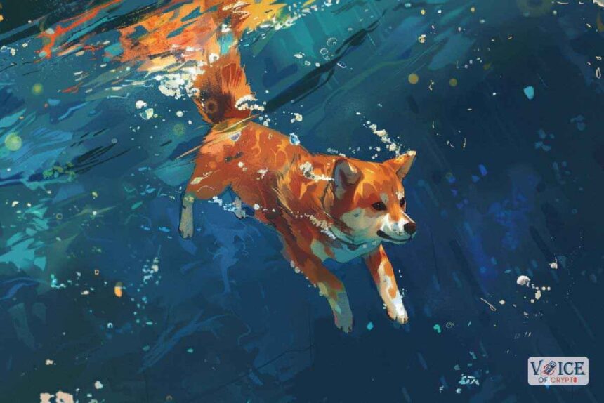 What Is Shibarium Shiba Inu SHIB