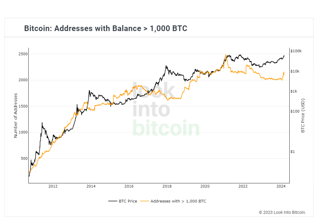Bitcoin hodler cohorts