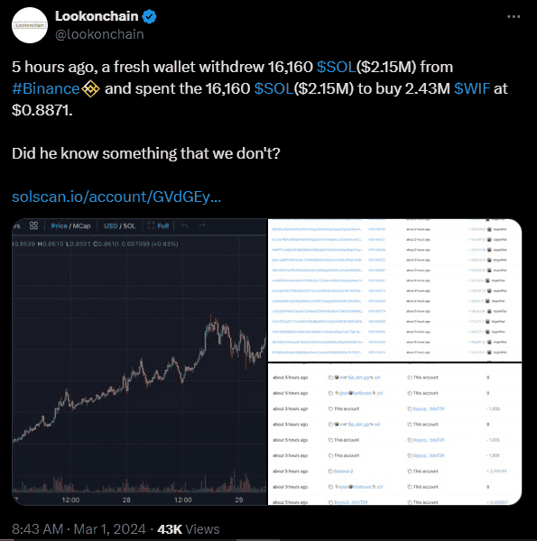 Whale buys $WIF
