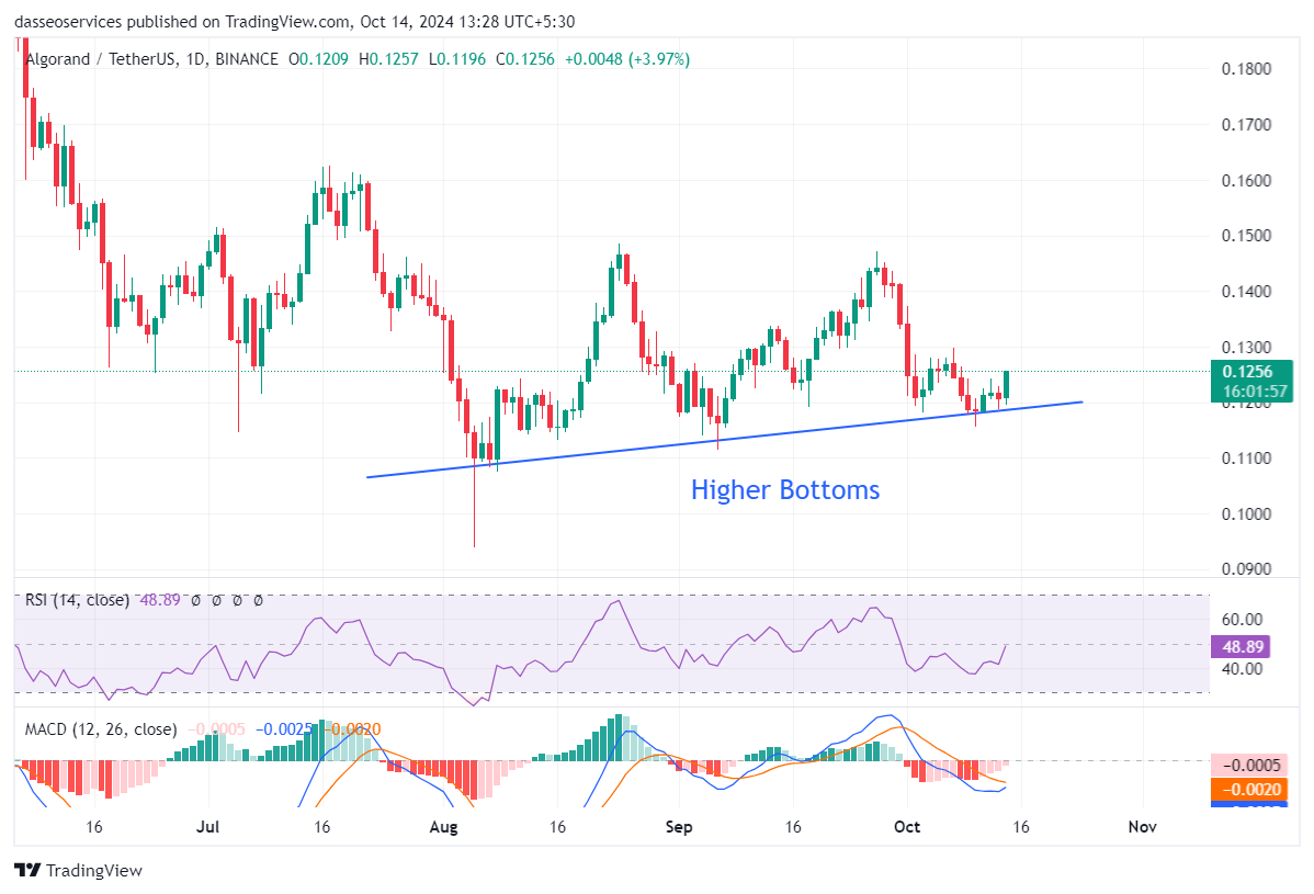 Higher bottoms in algorand charts
