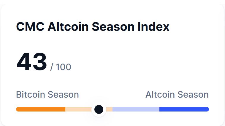 Altcoin season index on 25 nov 2024