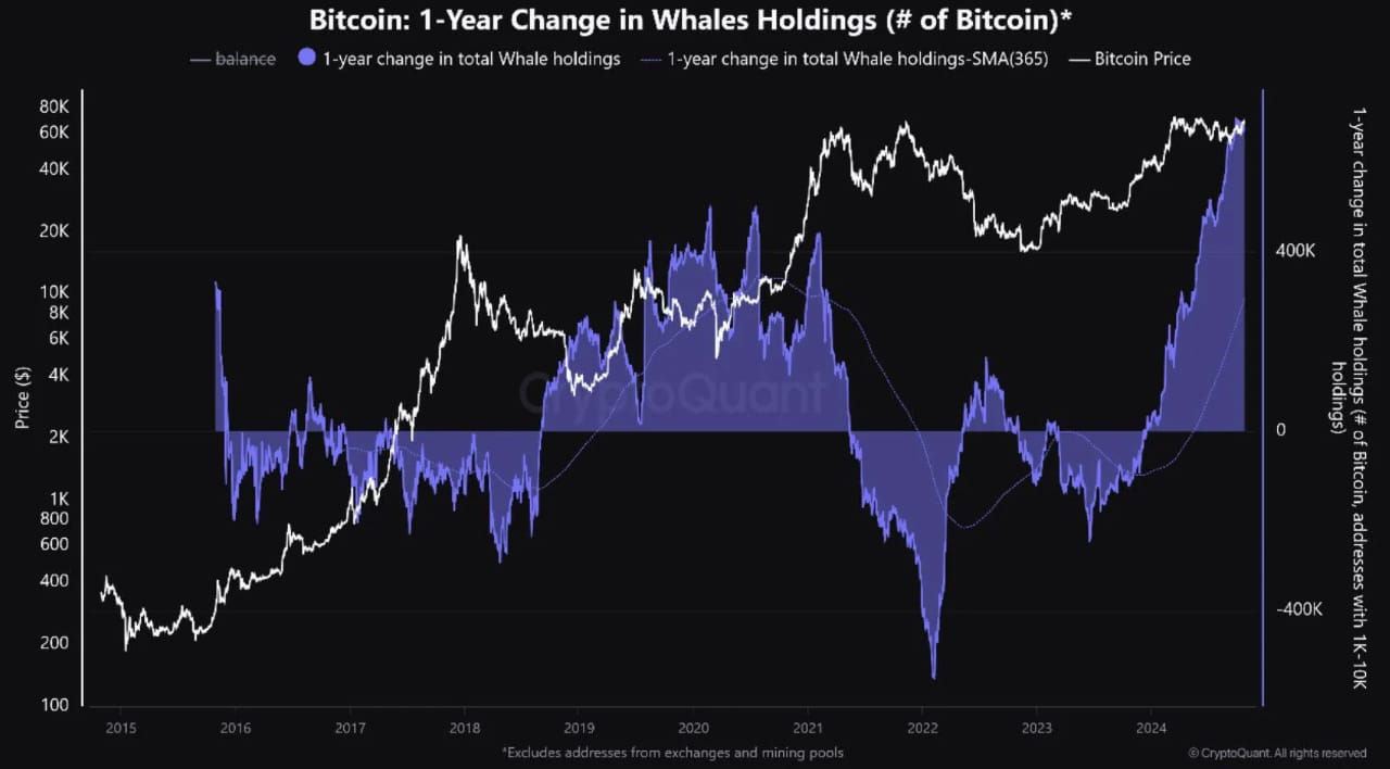 Bitcoin whale accumulation