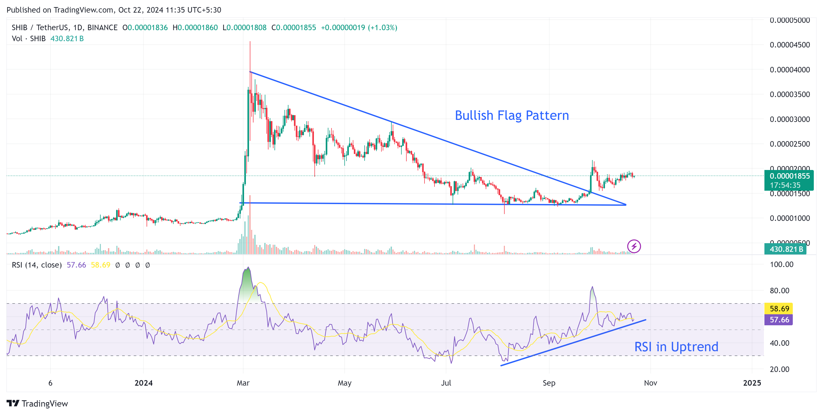Shiba inu breaks out of bullish flag pattern