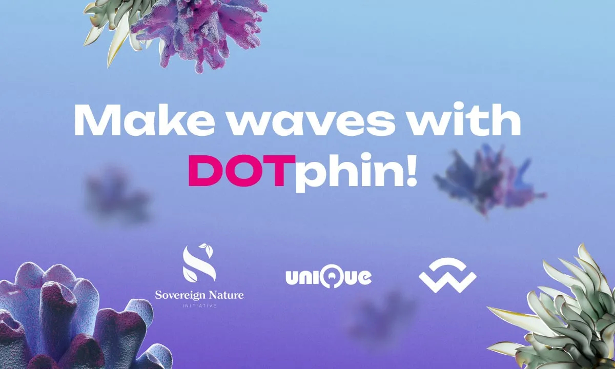 Sni dotphin image 1726625543mk8lisommw 2