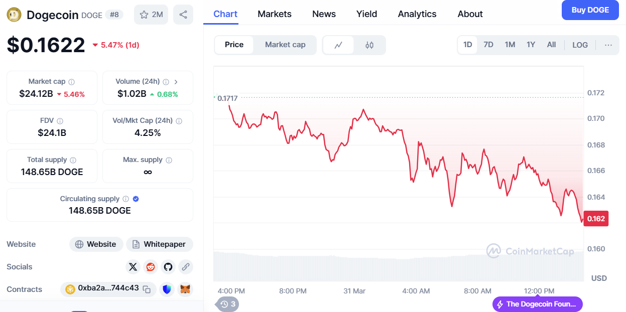 Dogecoin slides 5% after elon musk&apos;s denial of using it
