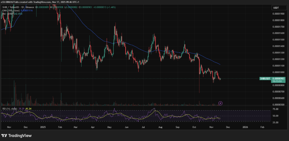 SHIB faces strong resistance at $0.0000105 despite massive exchange outflows tightening available supply on trading platforms | source: TradingView
