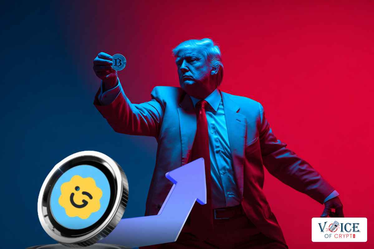 Trump vs Giggle Memecoin